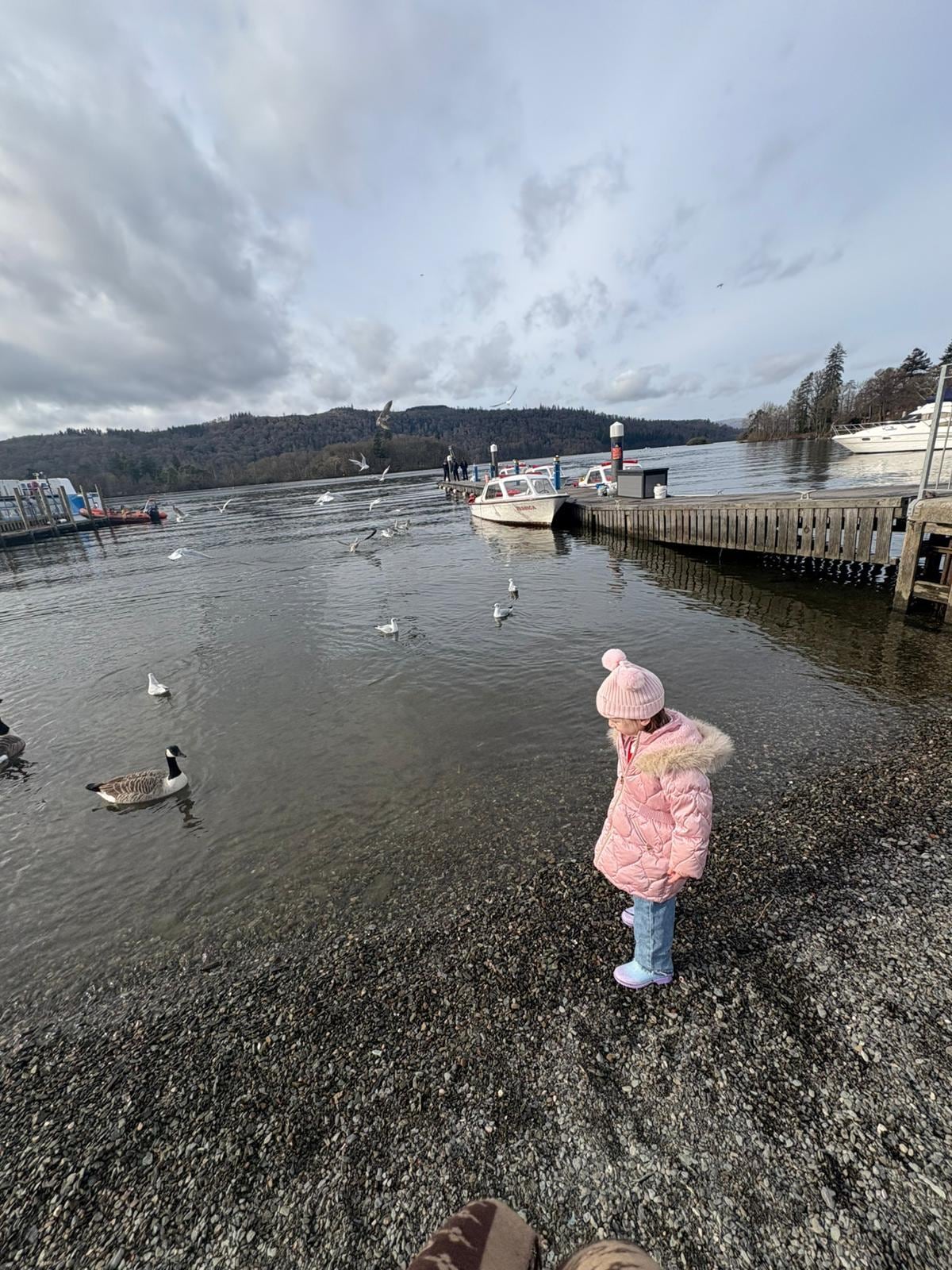 Walk to Bo'ness to paddle