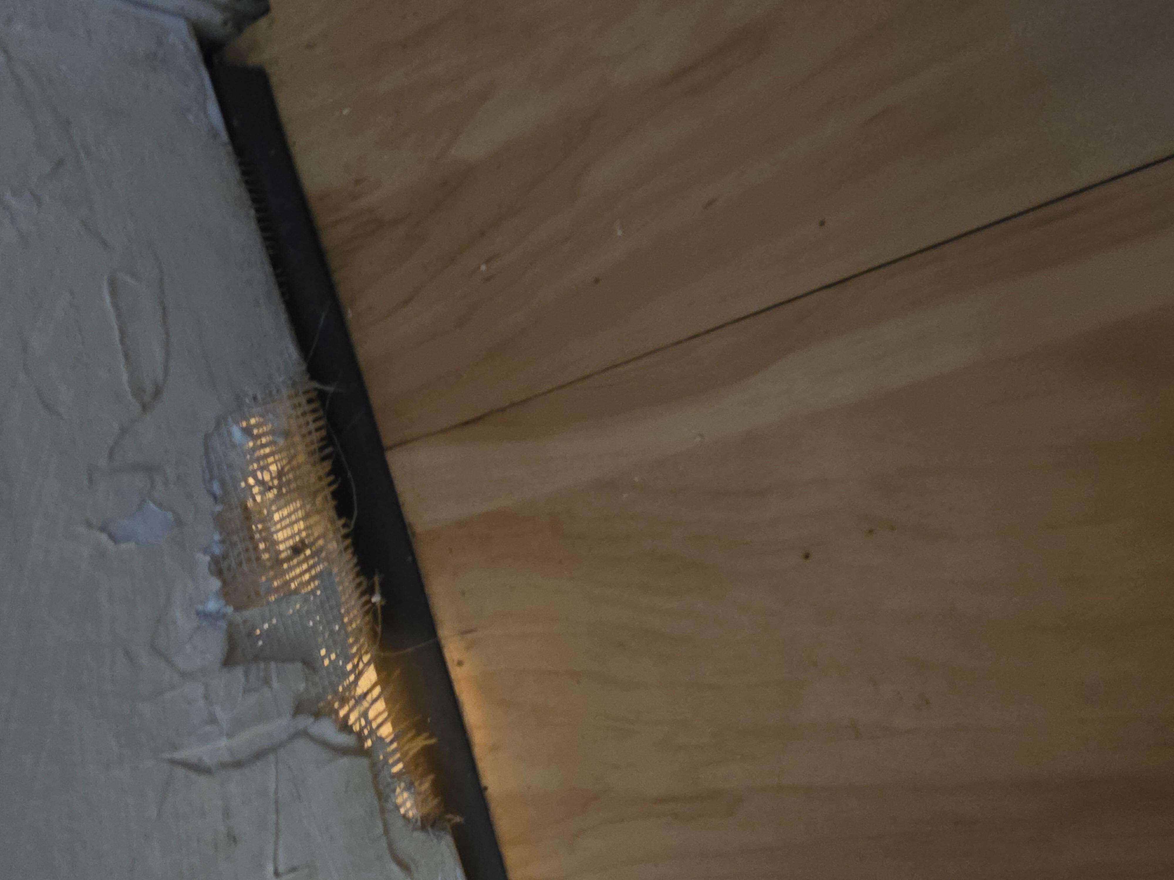 Hole in bathroom 