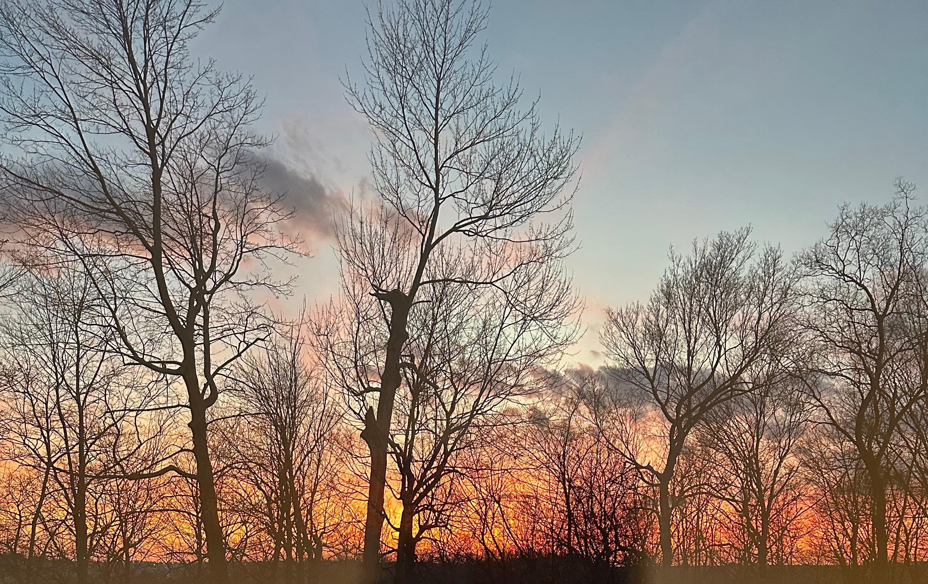 Sunset out the back. 