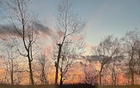 Sunset out the back.