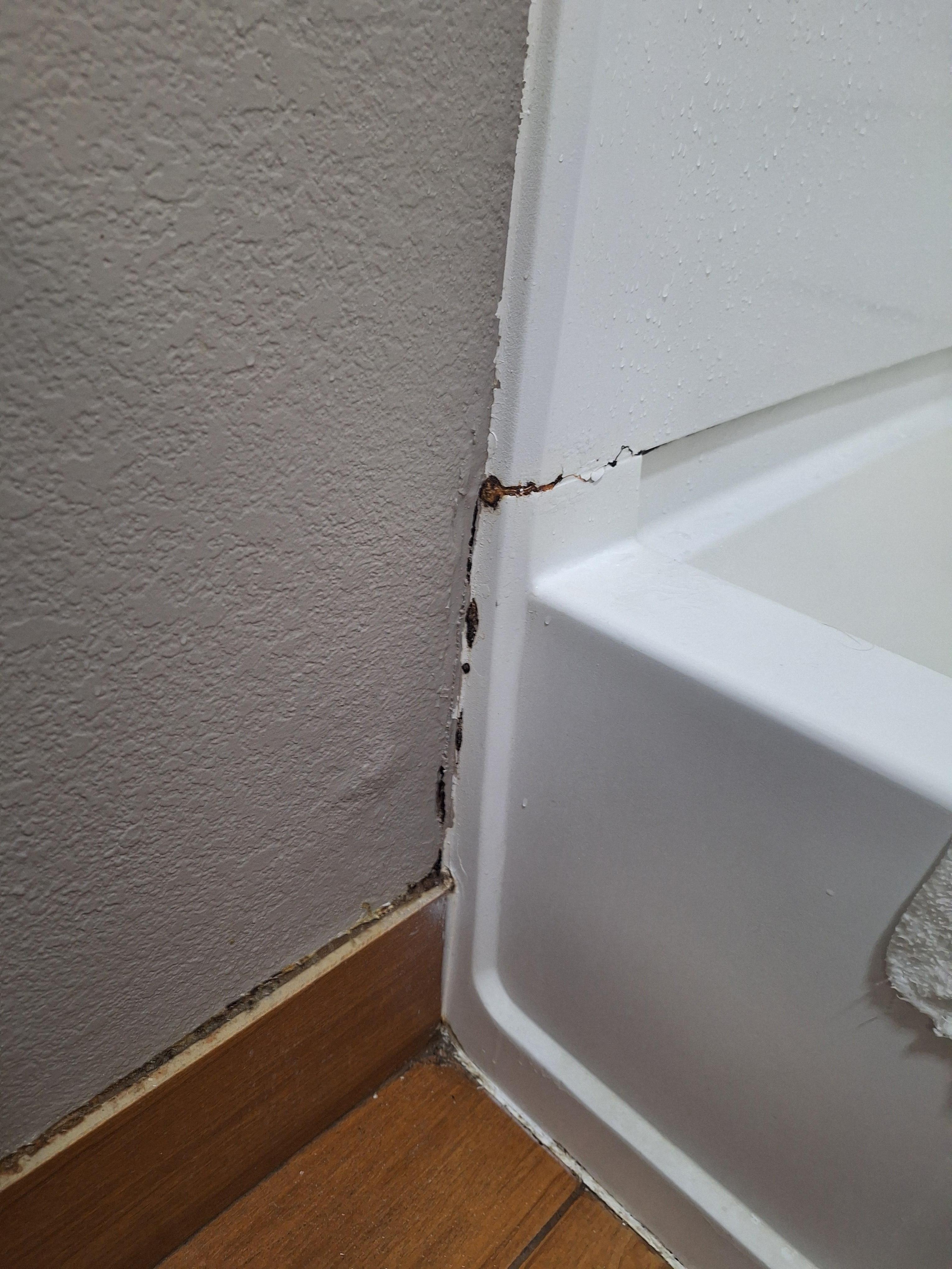 Mildew around shower