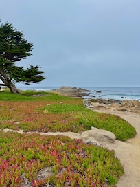 Gorgeous beach just down the street