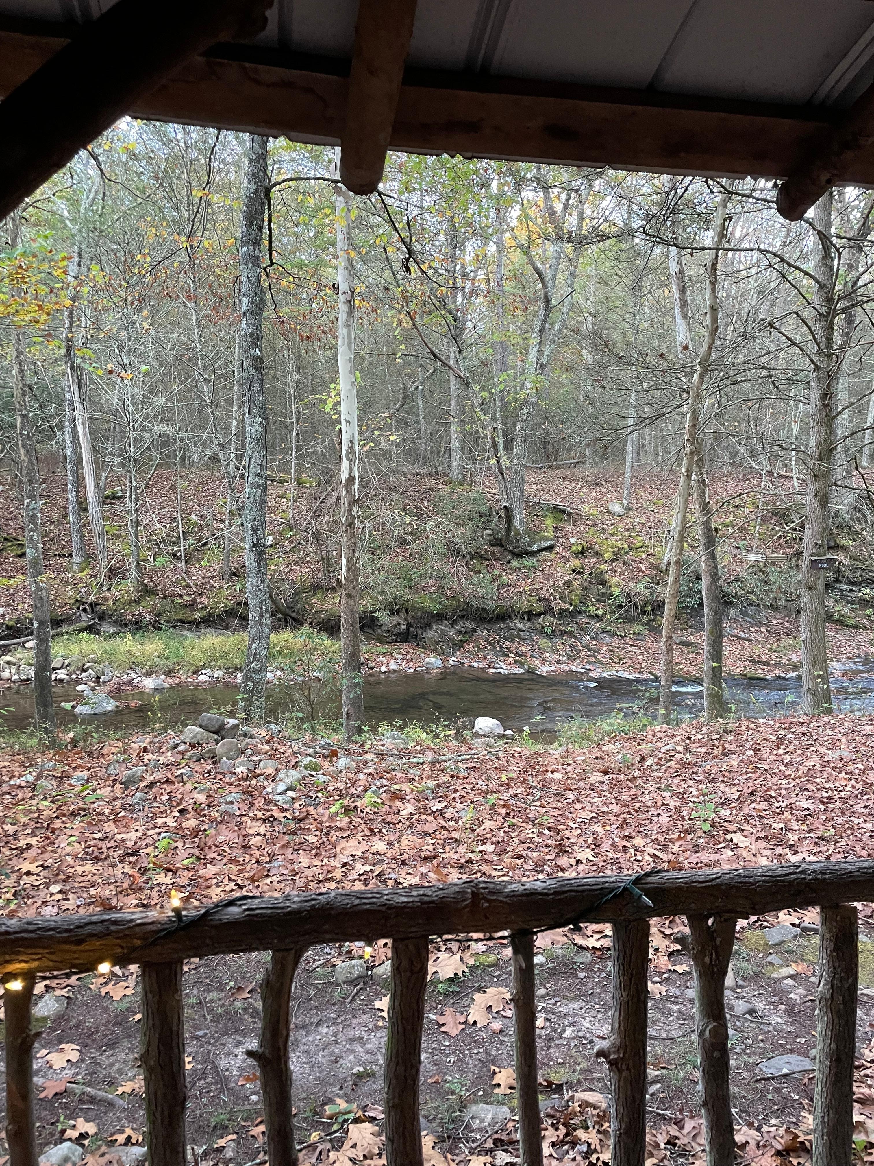 Sitting on the porch you can see and hear the creek. 