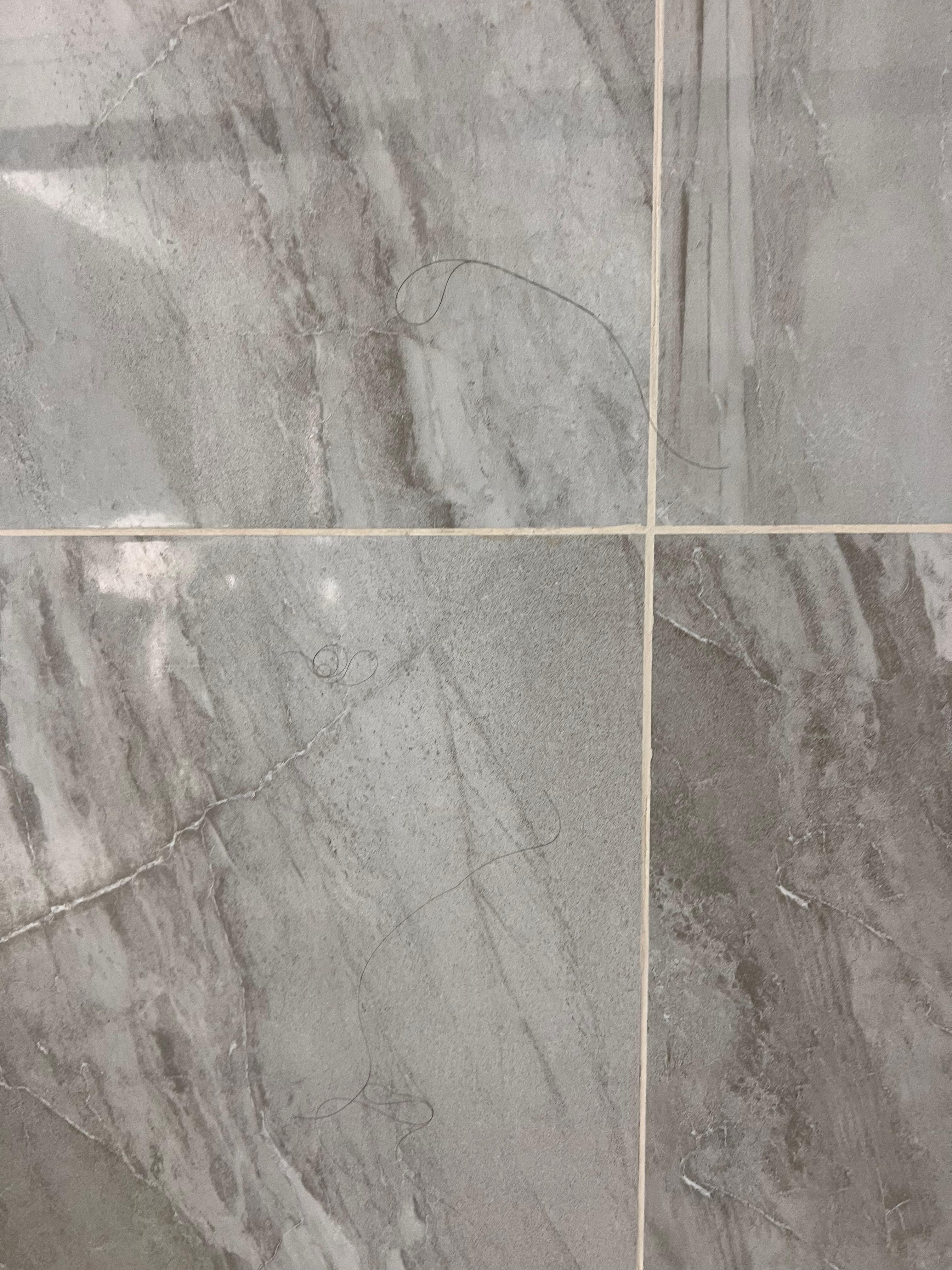 Hair on the shower wall which was there upon arrival and after the cleaner came