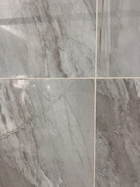 Hair on the shower wall which was there upon arrival and after the cleaner came