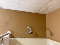 Black mold/ mildew around shower in multiple bathrooms