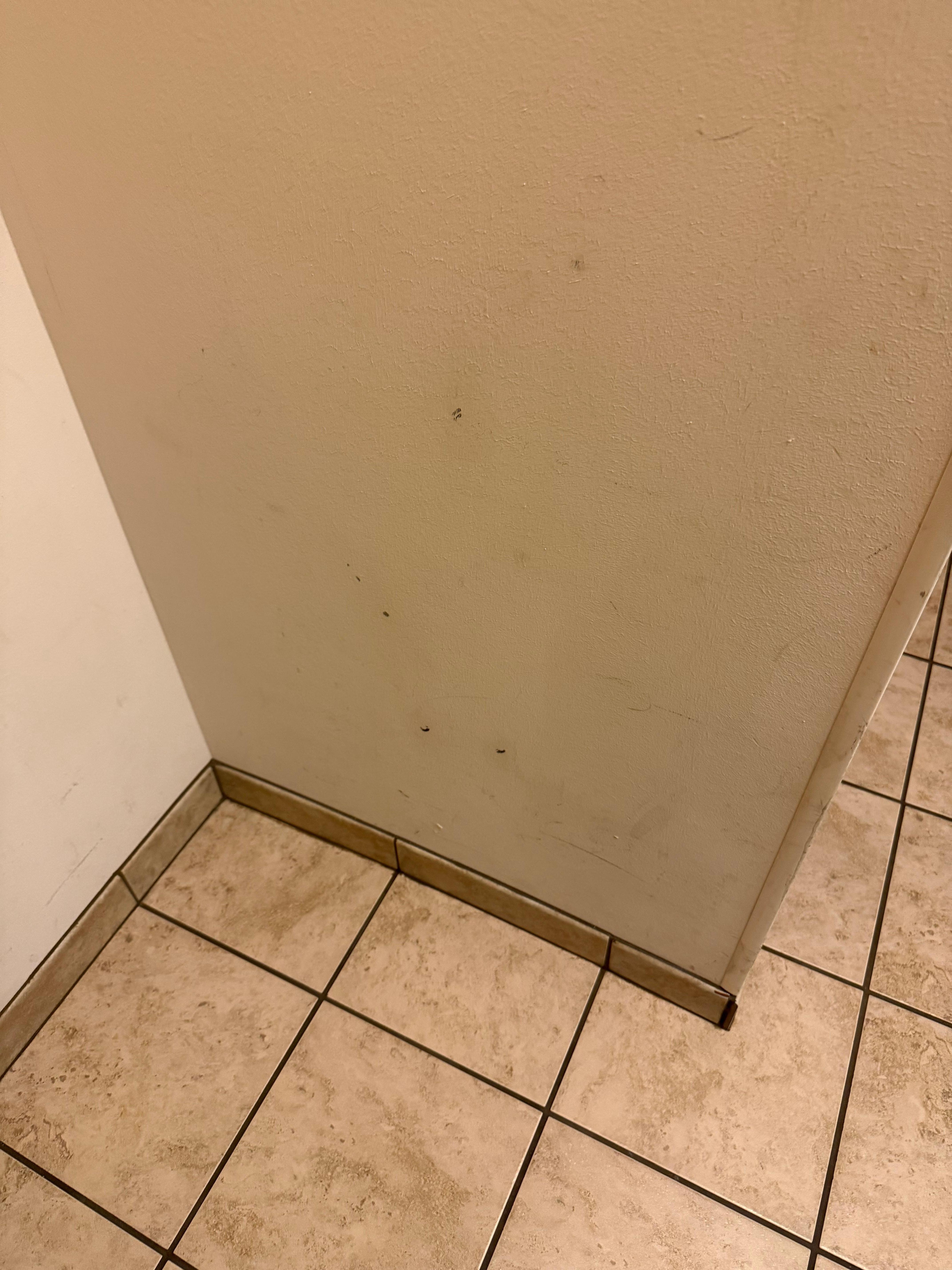 Badly scuffed wall in need of paint