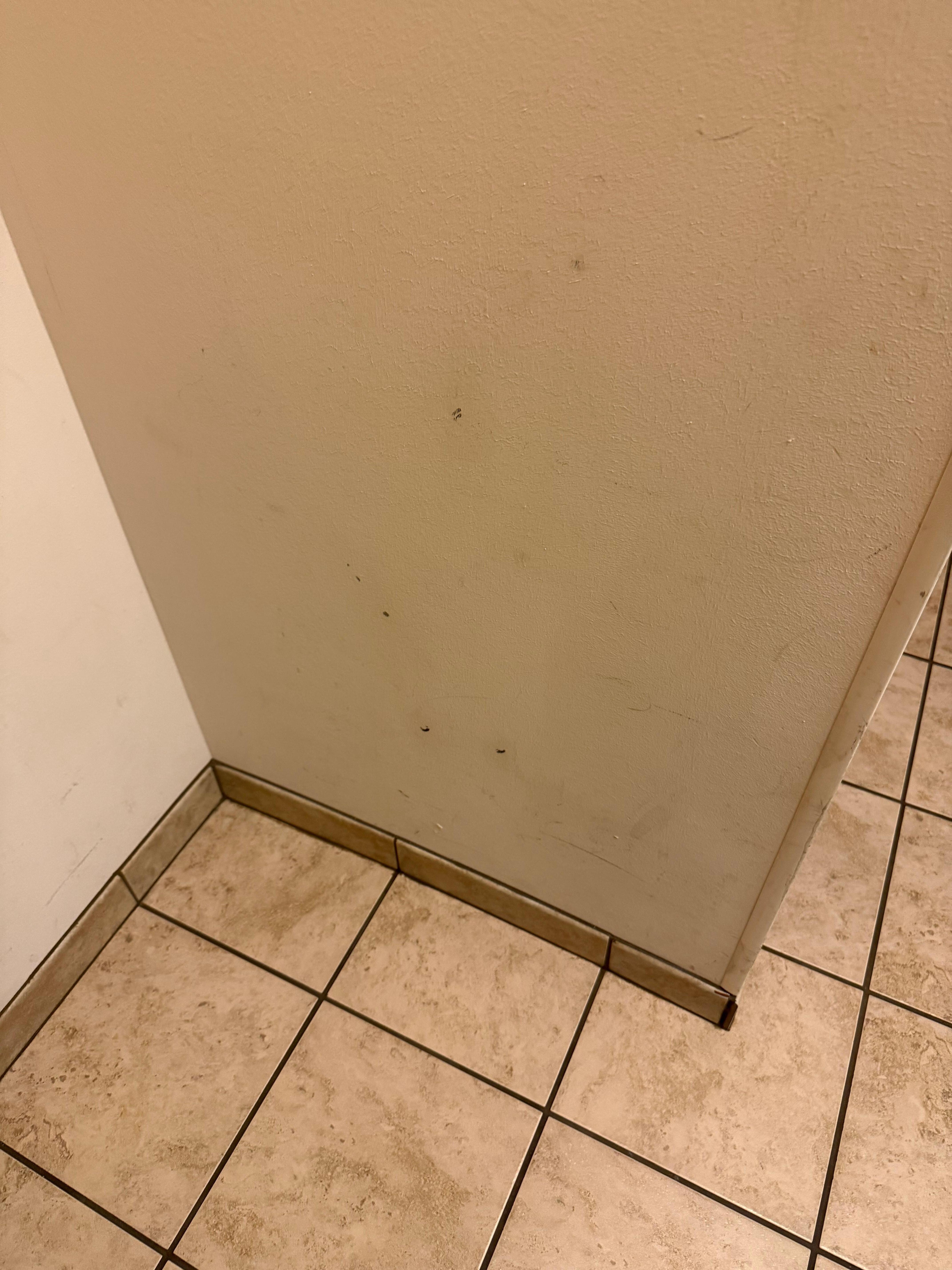 Badly scuffed wall in need of paint