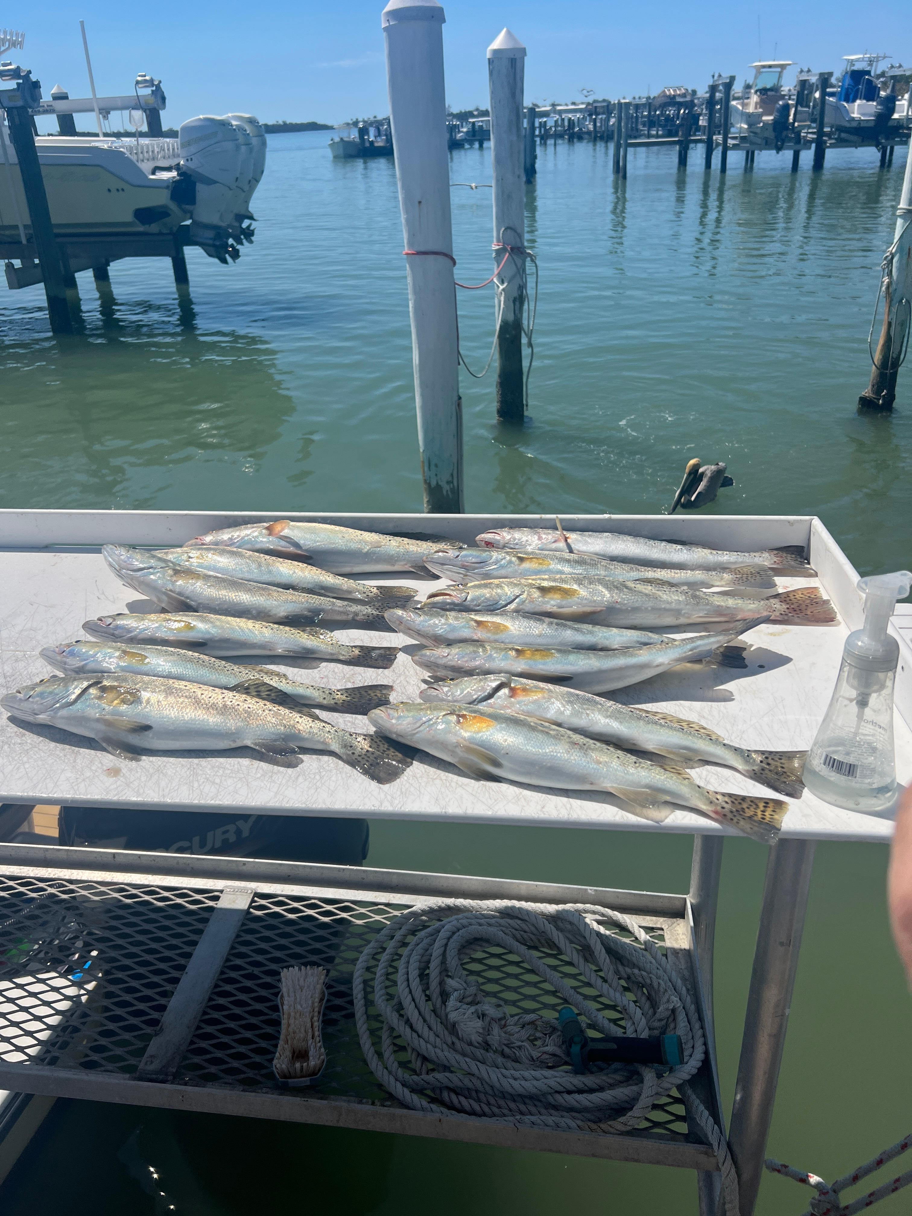 Fishing excursions available within walking distance. 