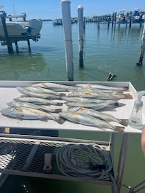 Fishing excursions available within walking distance.