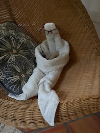 The cutest towel “person” reading.