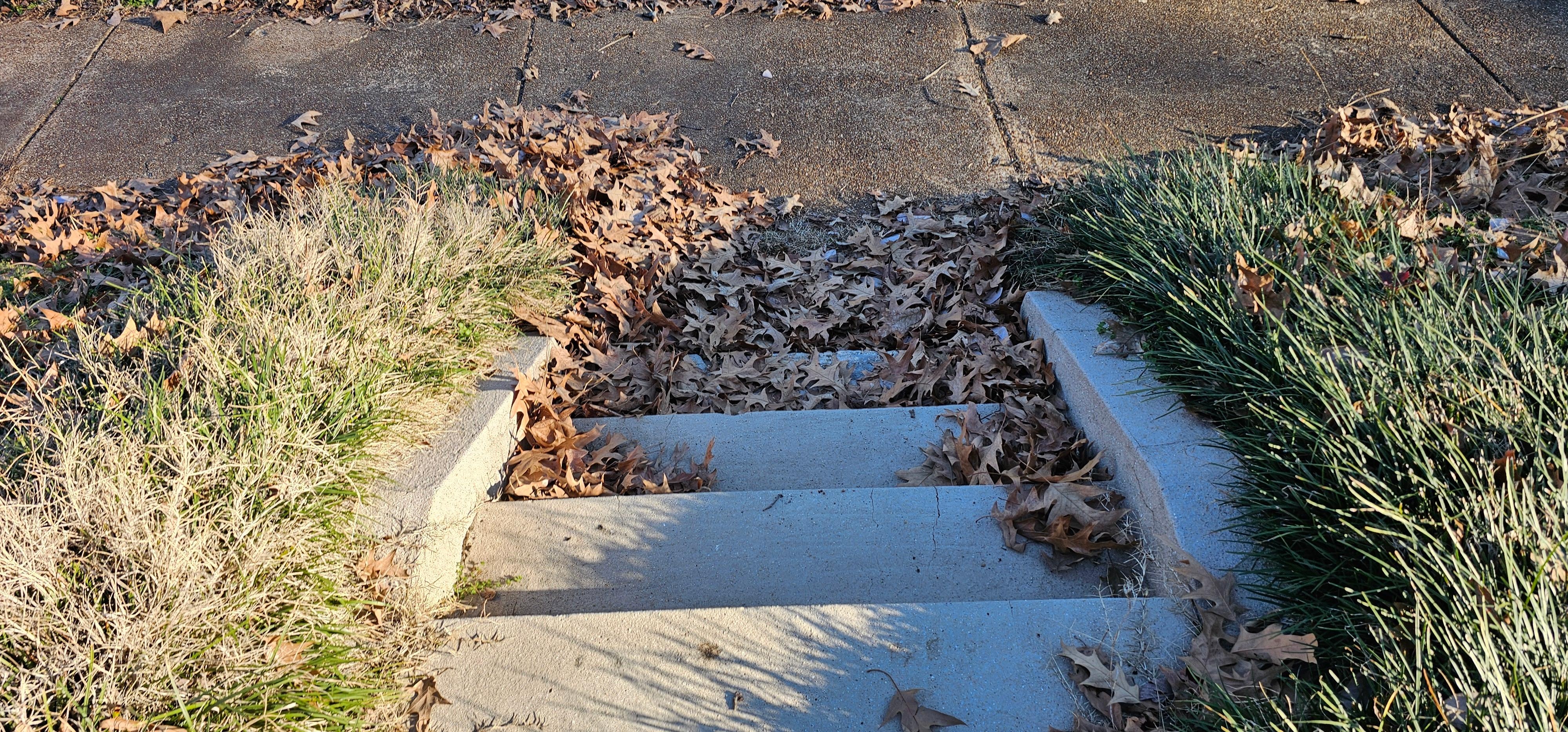 This photo was taken about an hour after it had been swept once