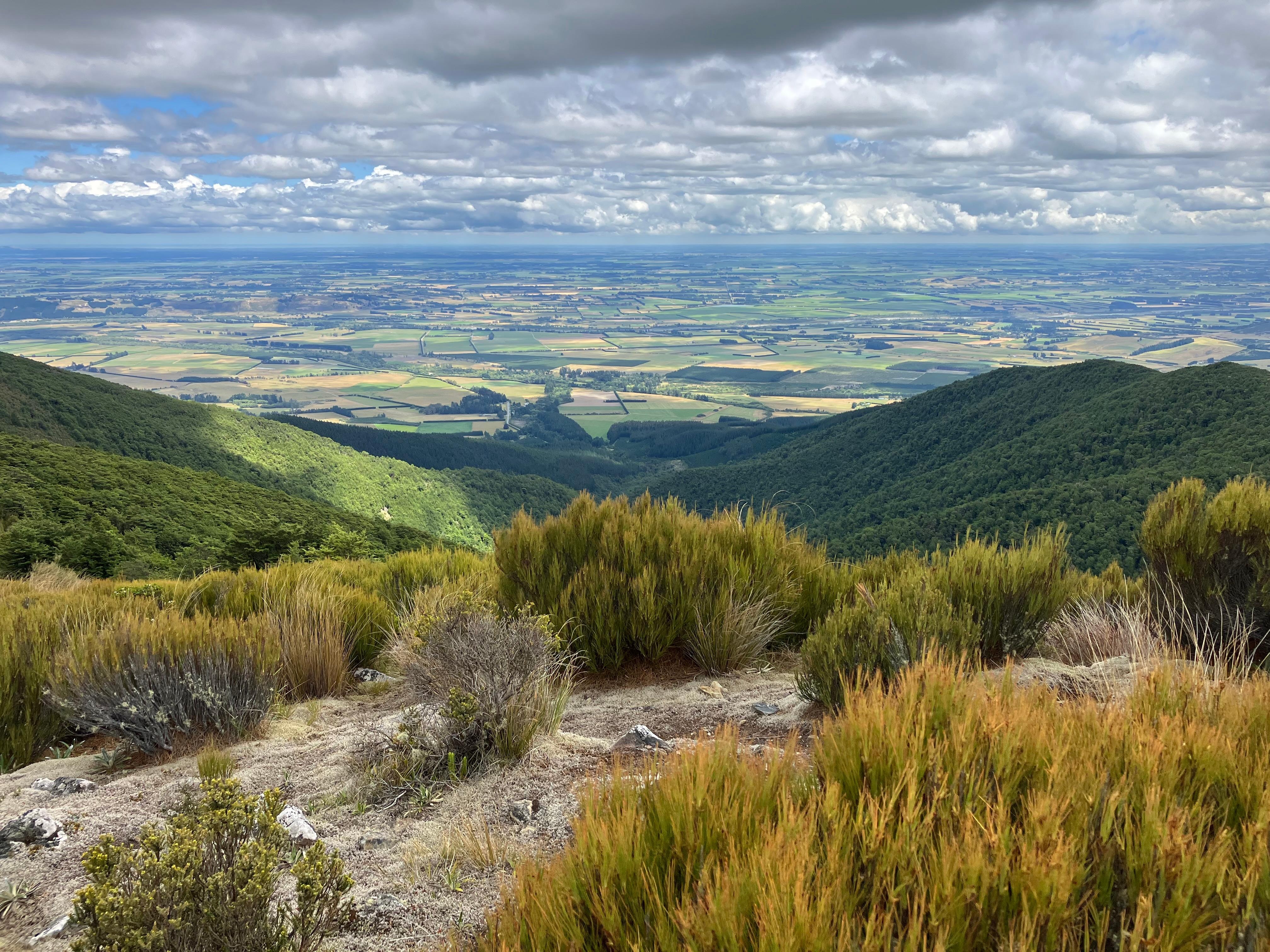 The climb up mt Thomas is worth the views 