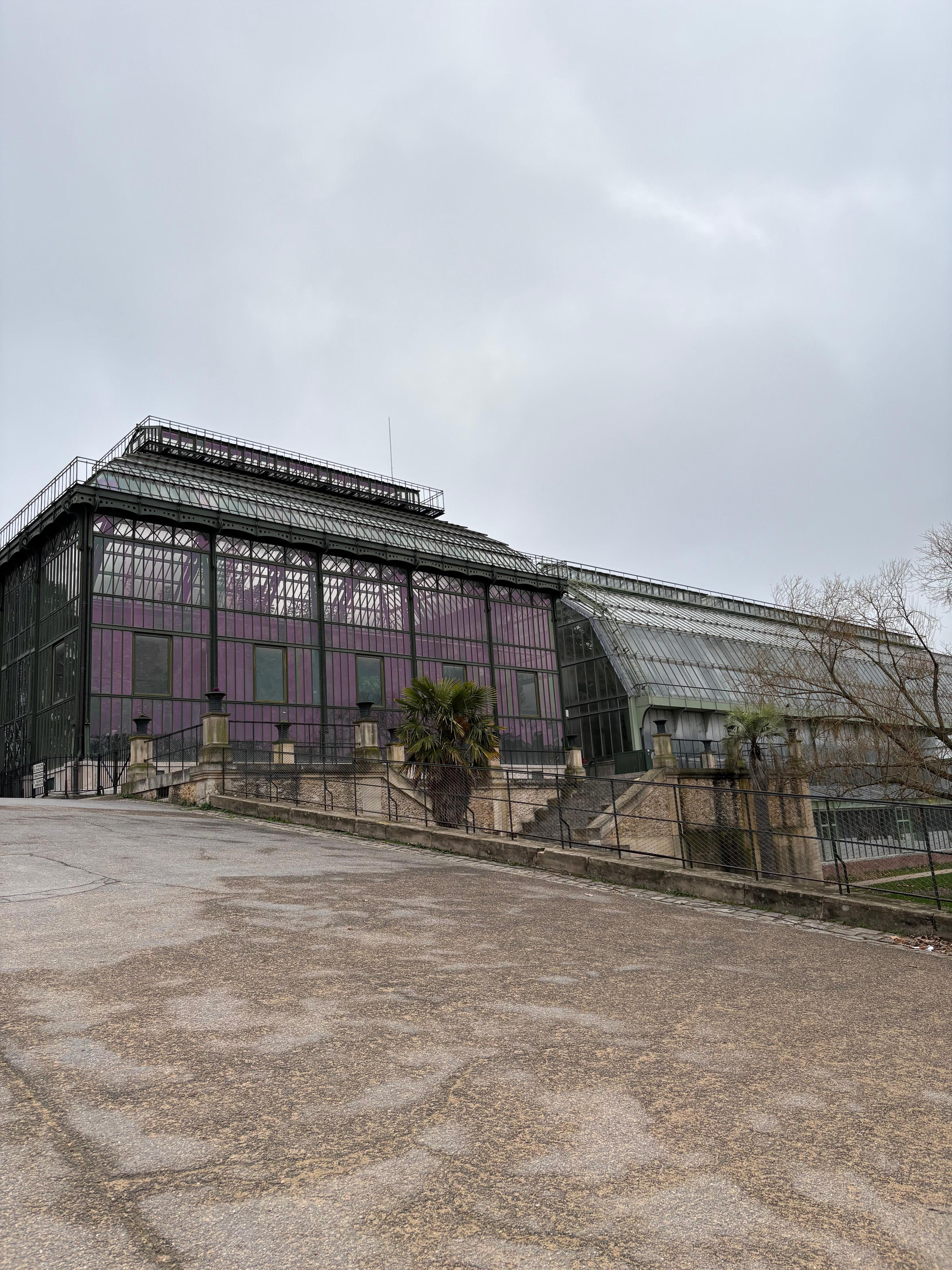Serre du jardin des plantes
