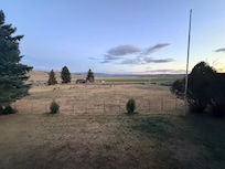 Deer eating in the field in front of the cabin in the evening