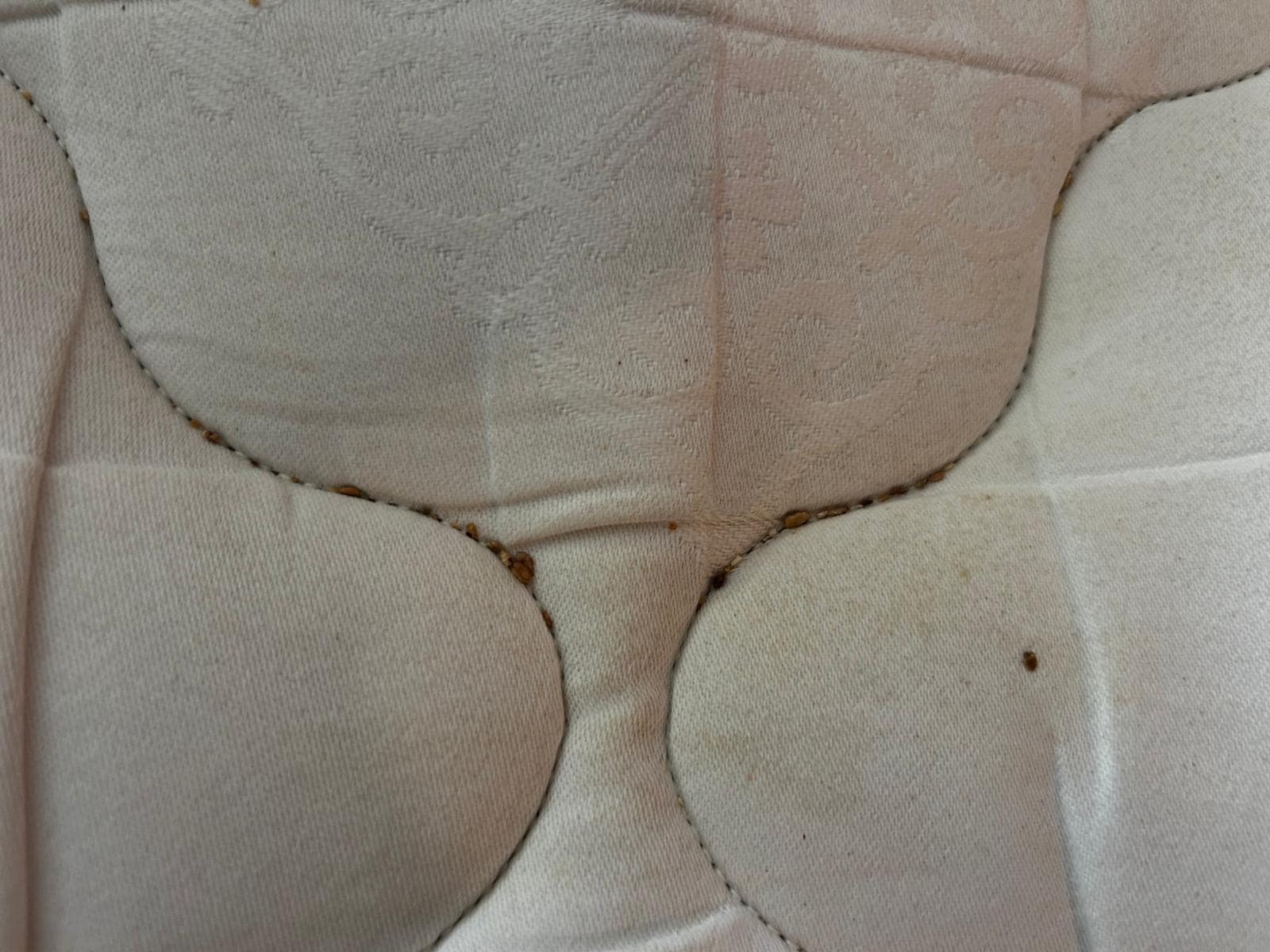 Looks like this was never vacuumed 