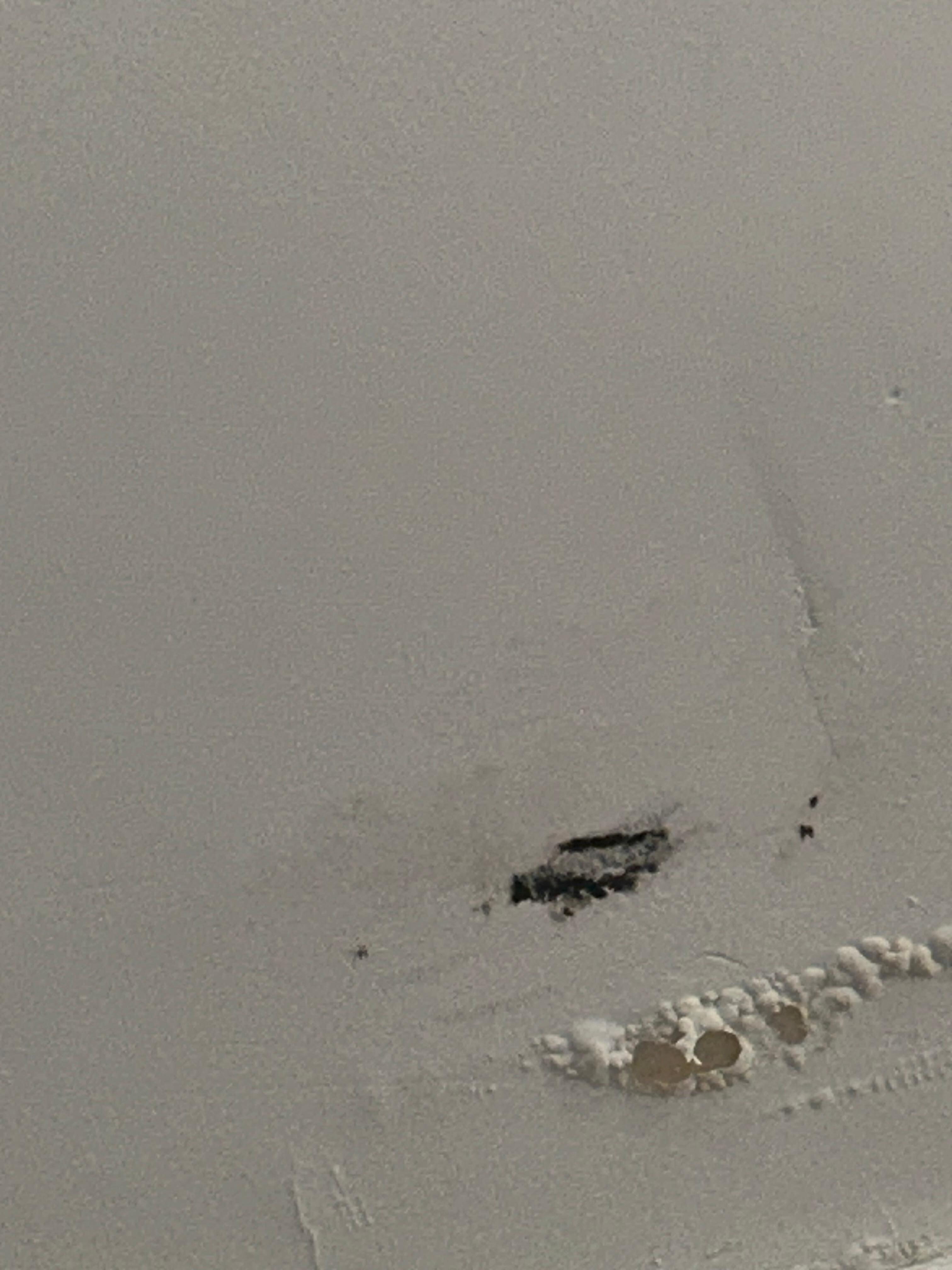 Water stains with black mold. Located in upstairs bedroom. 