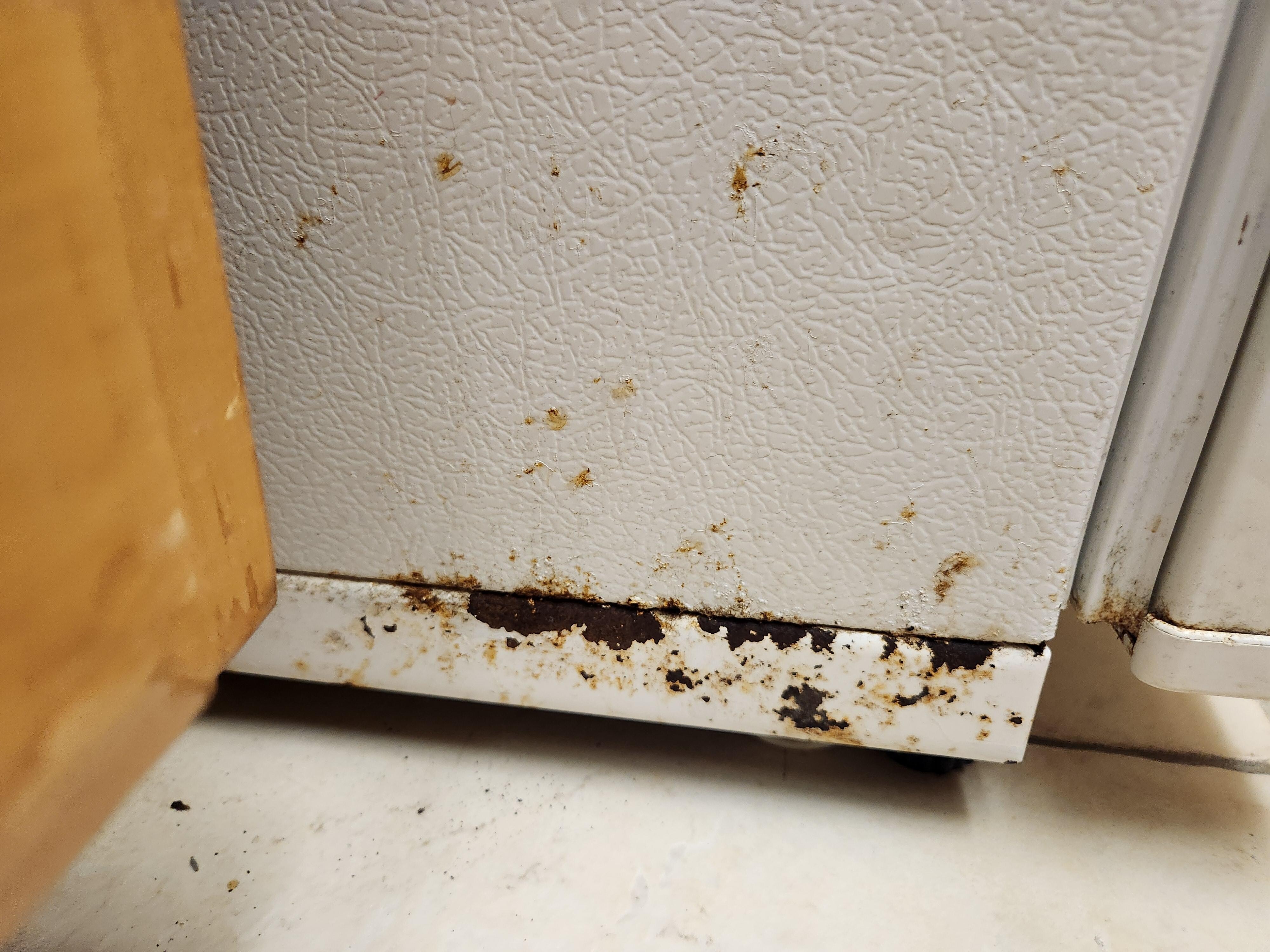 Side of fridge 