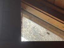 Outside living room window