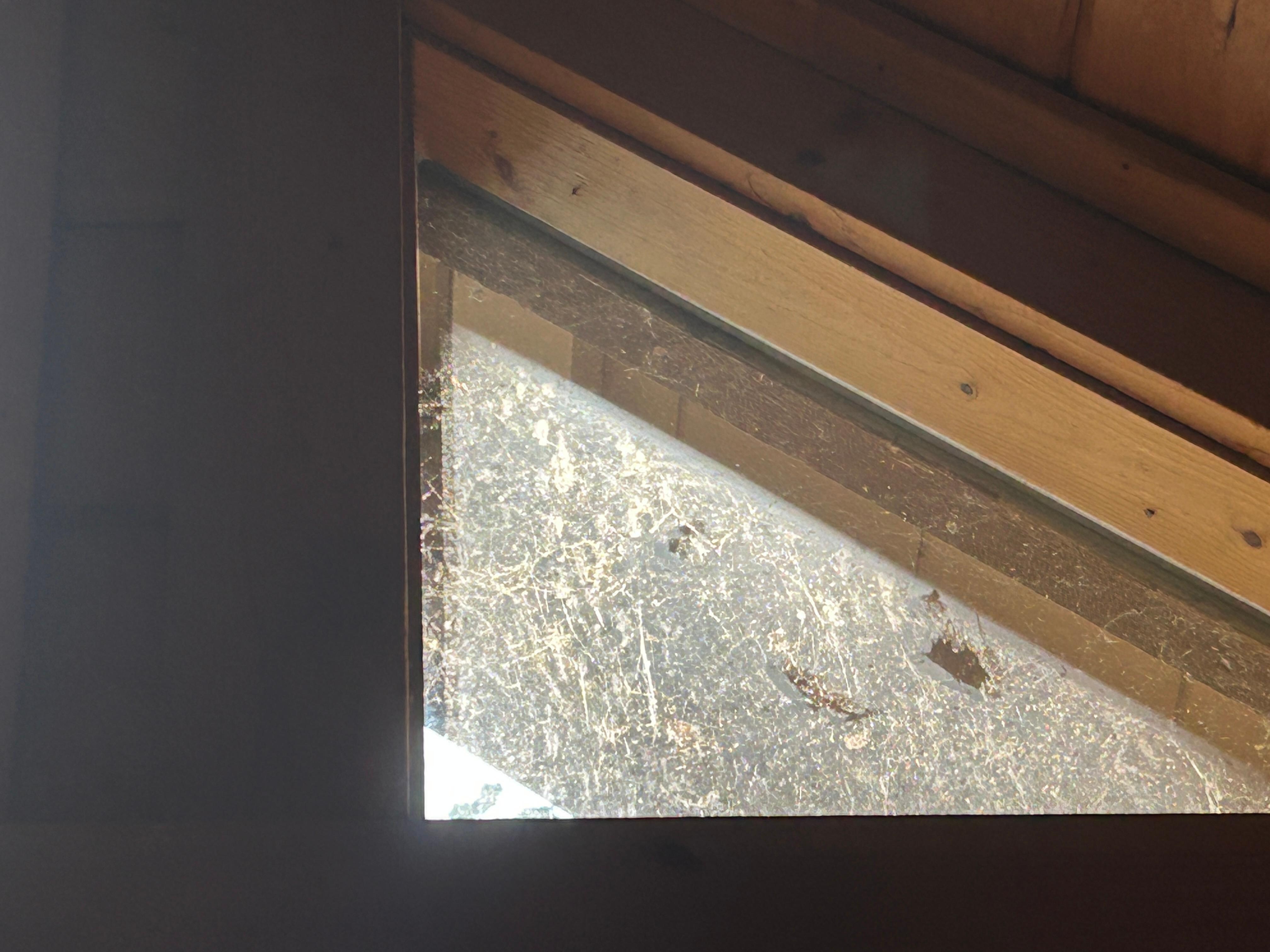 Outside living room window 