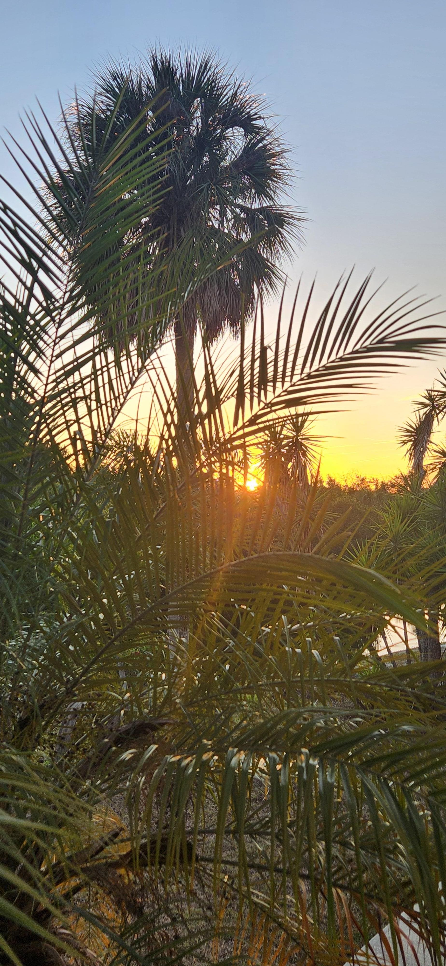 Sunrise looking out from pool area