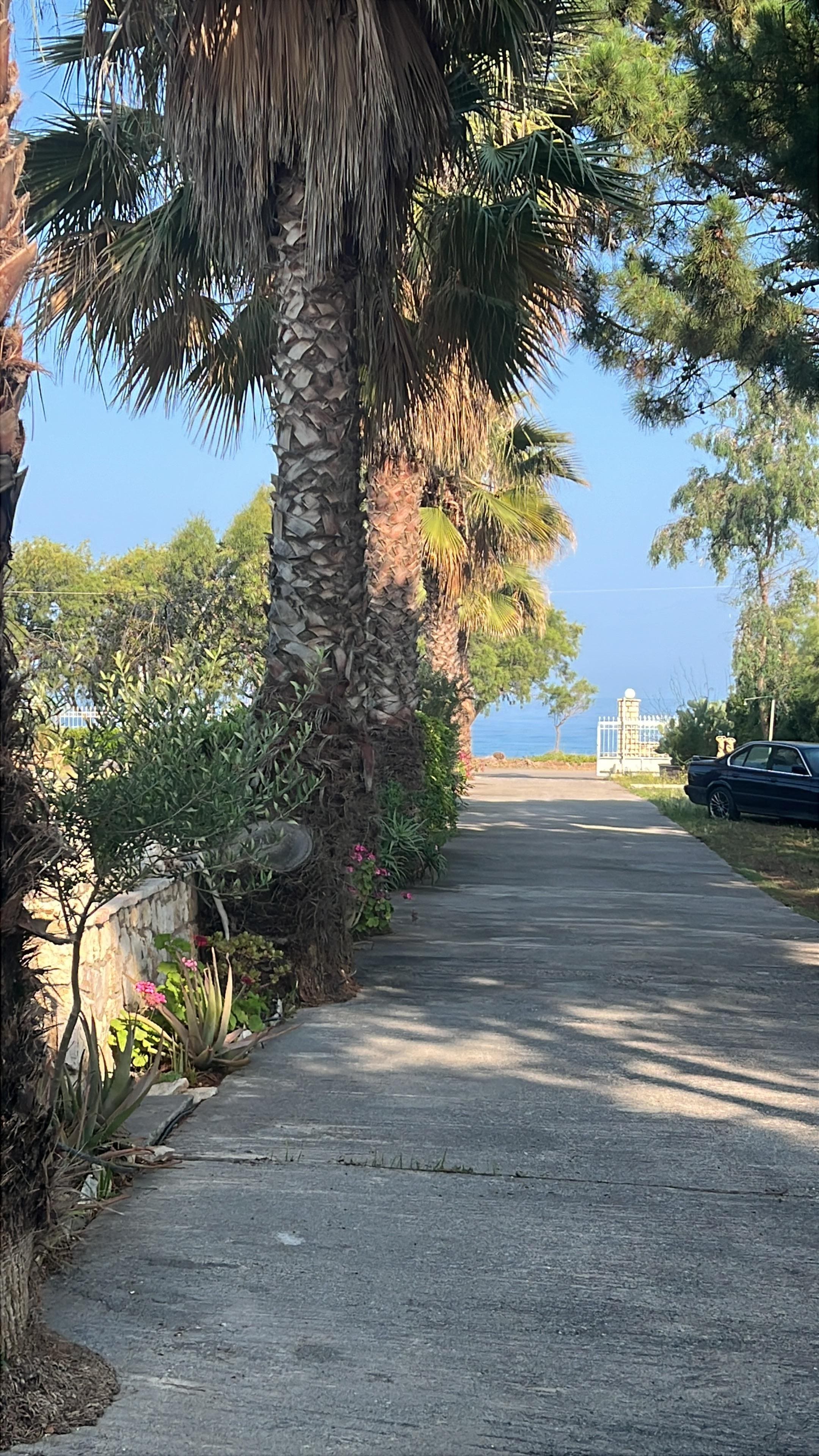 Resort driveway 