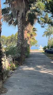 Resort driveway