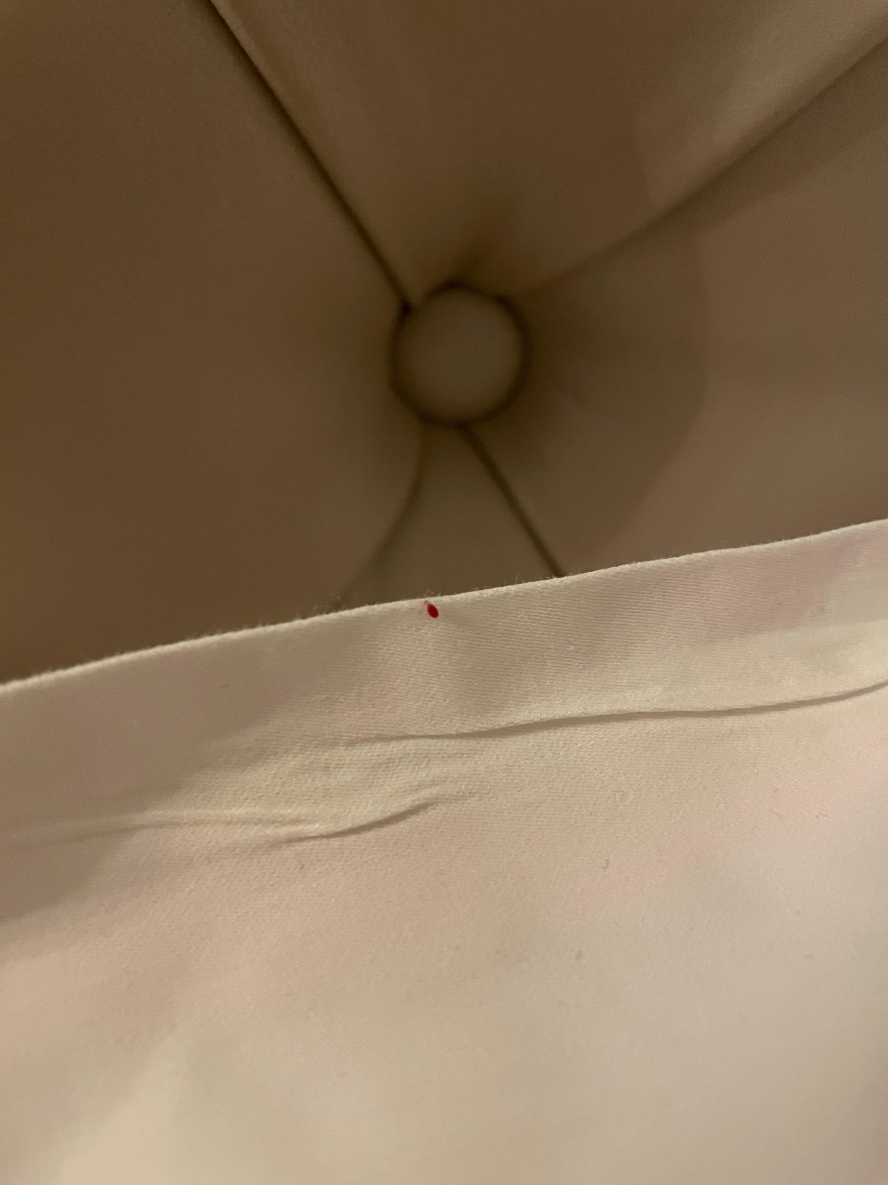 Bedbugs were on the pillows
