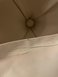 Bedbugs were on the pillows