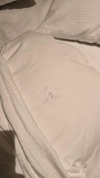 Mould on the pillow