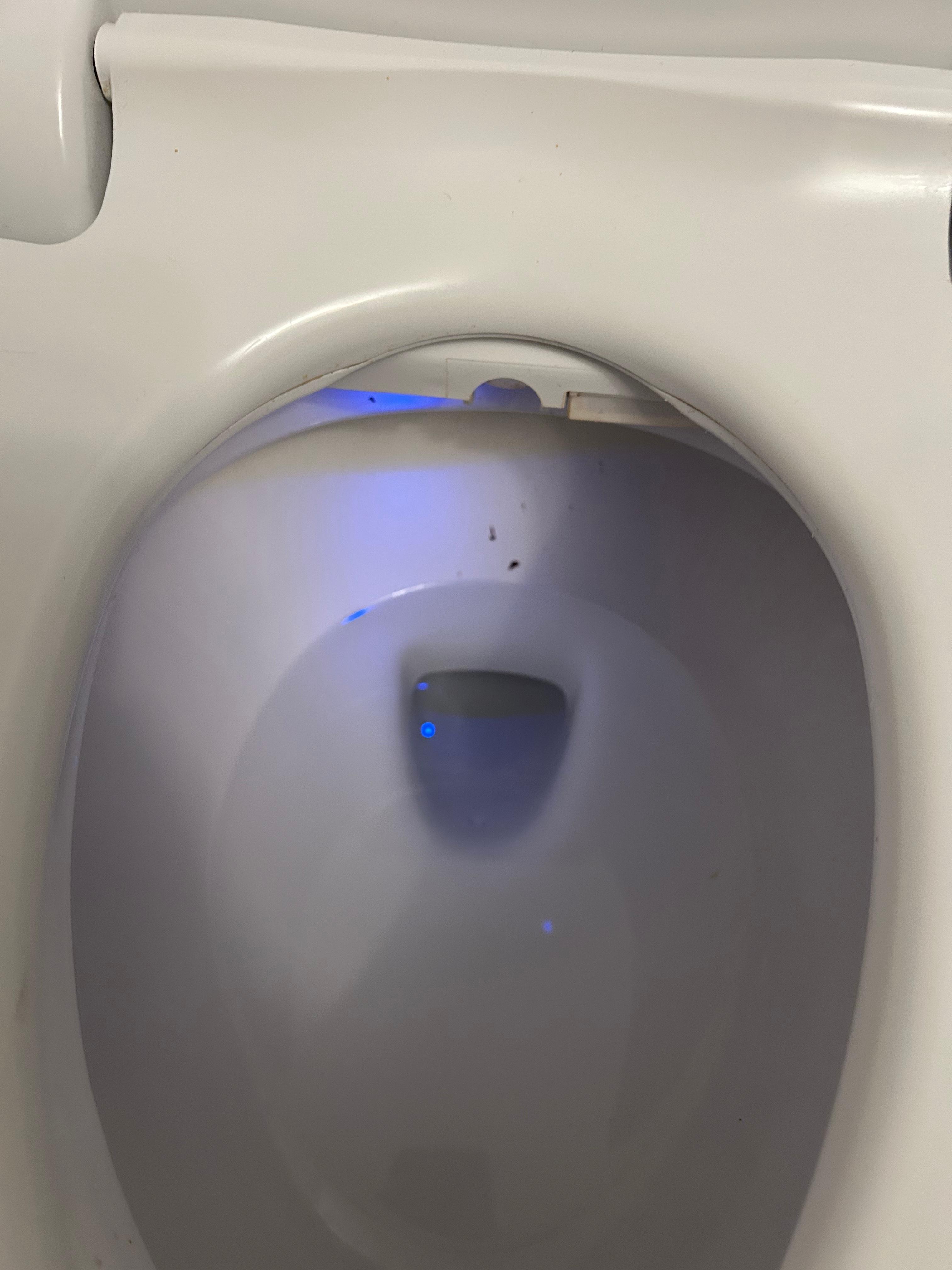 Dirty toilet bowl as seen upon entry to home