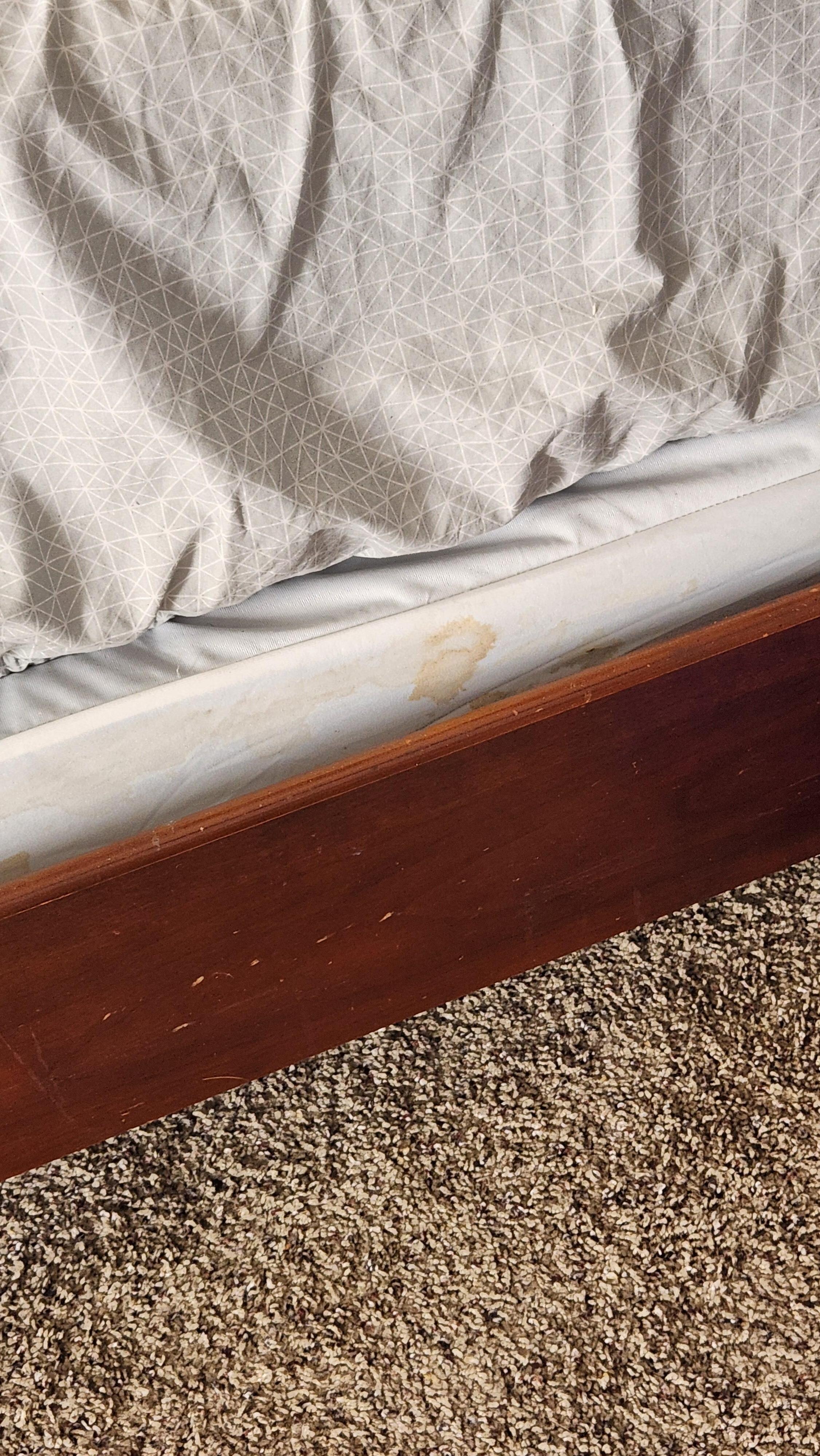 Weird stains on mattress and box springs 