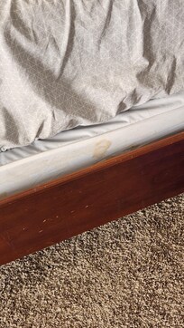 Weird stains on mattress and box springs