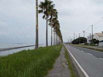 朝ランニングした、袖ヶ浦海浜公園付近の道です。左手に海やアクアラインが見え、良かったです。