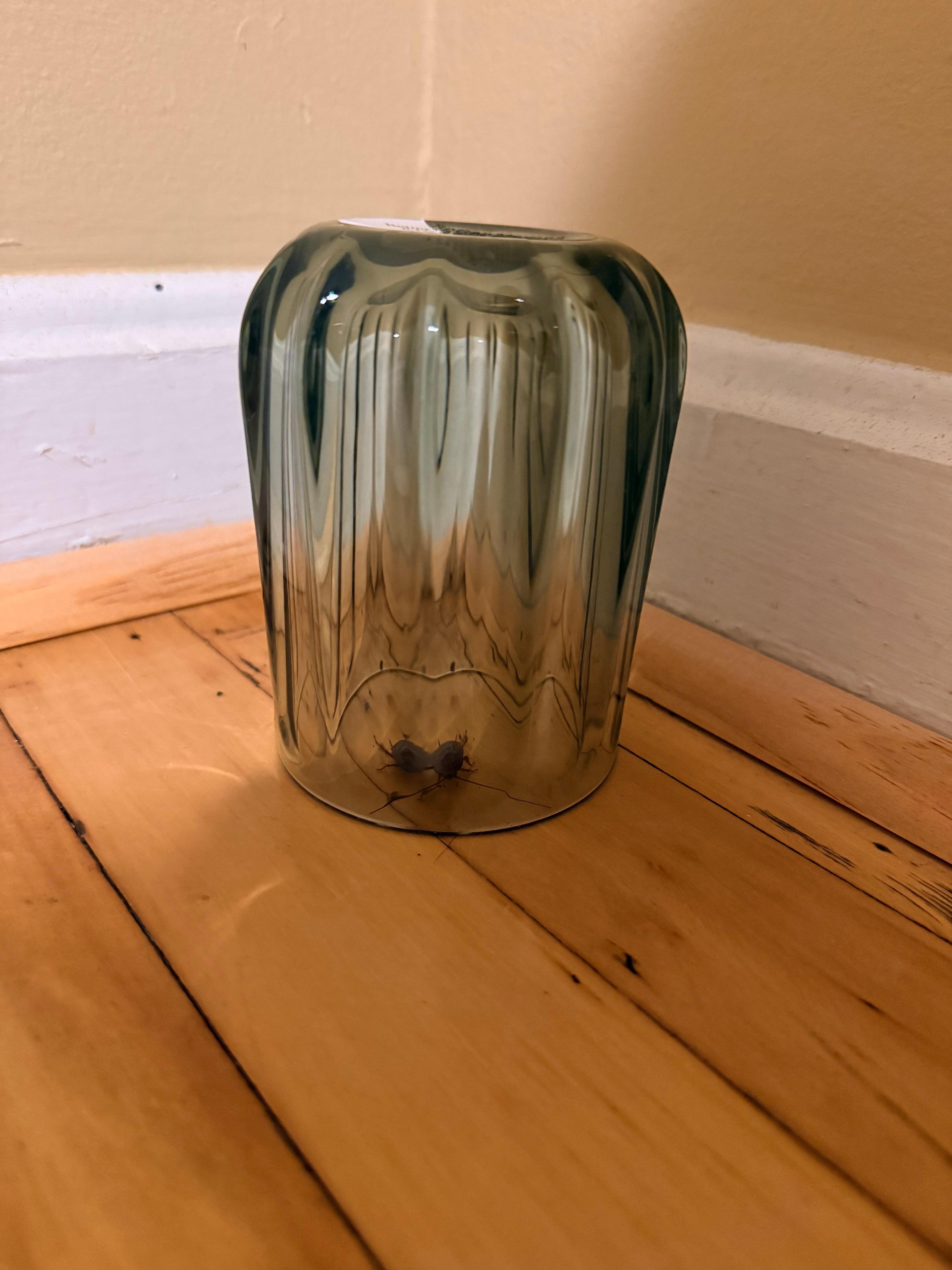 Cockroach #1