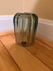 Cockroach #1