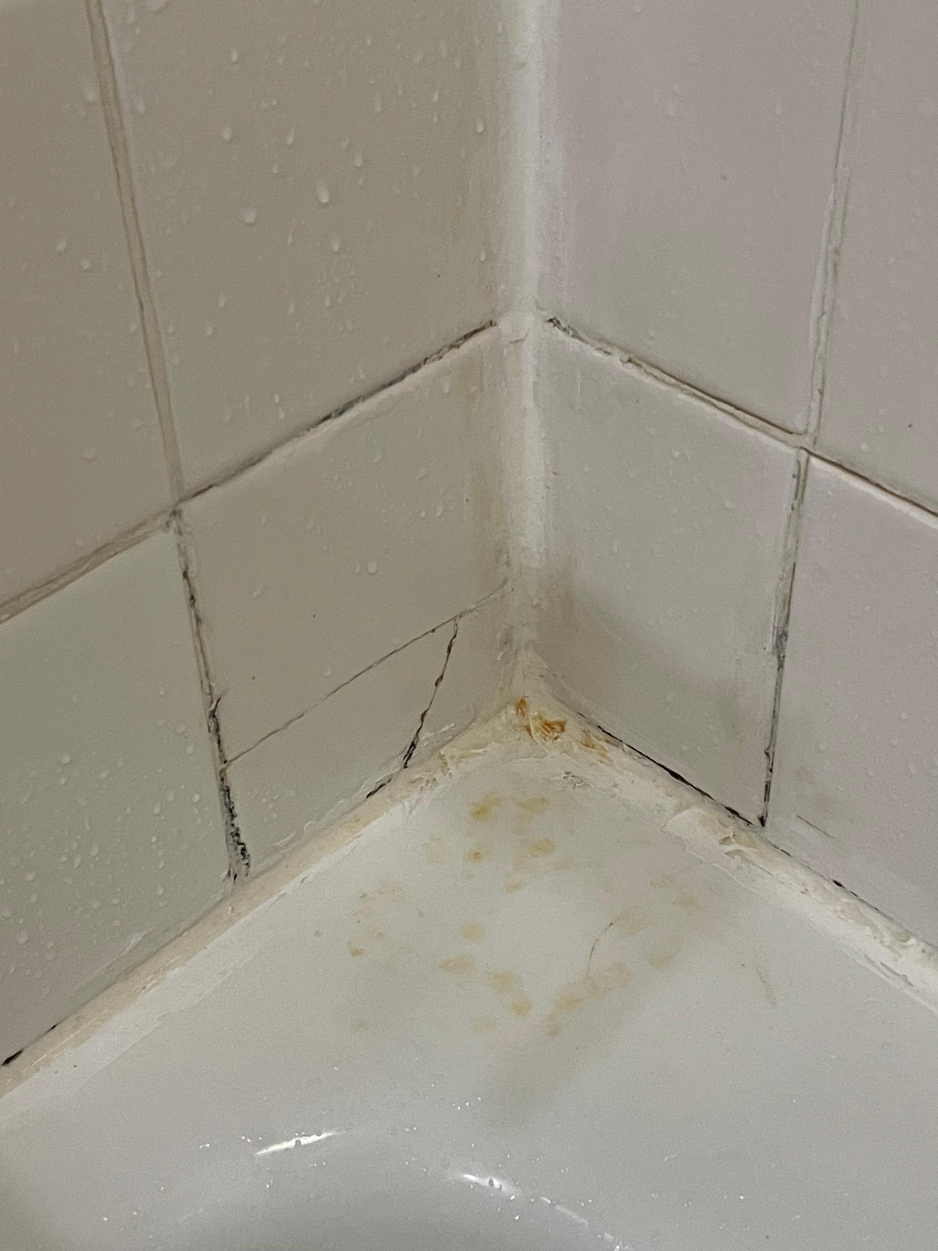 tub shower surround with mold and mildew