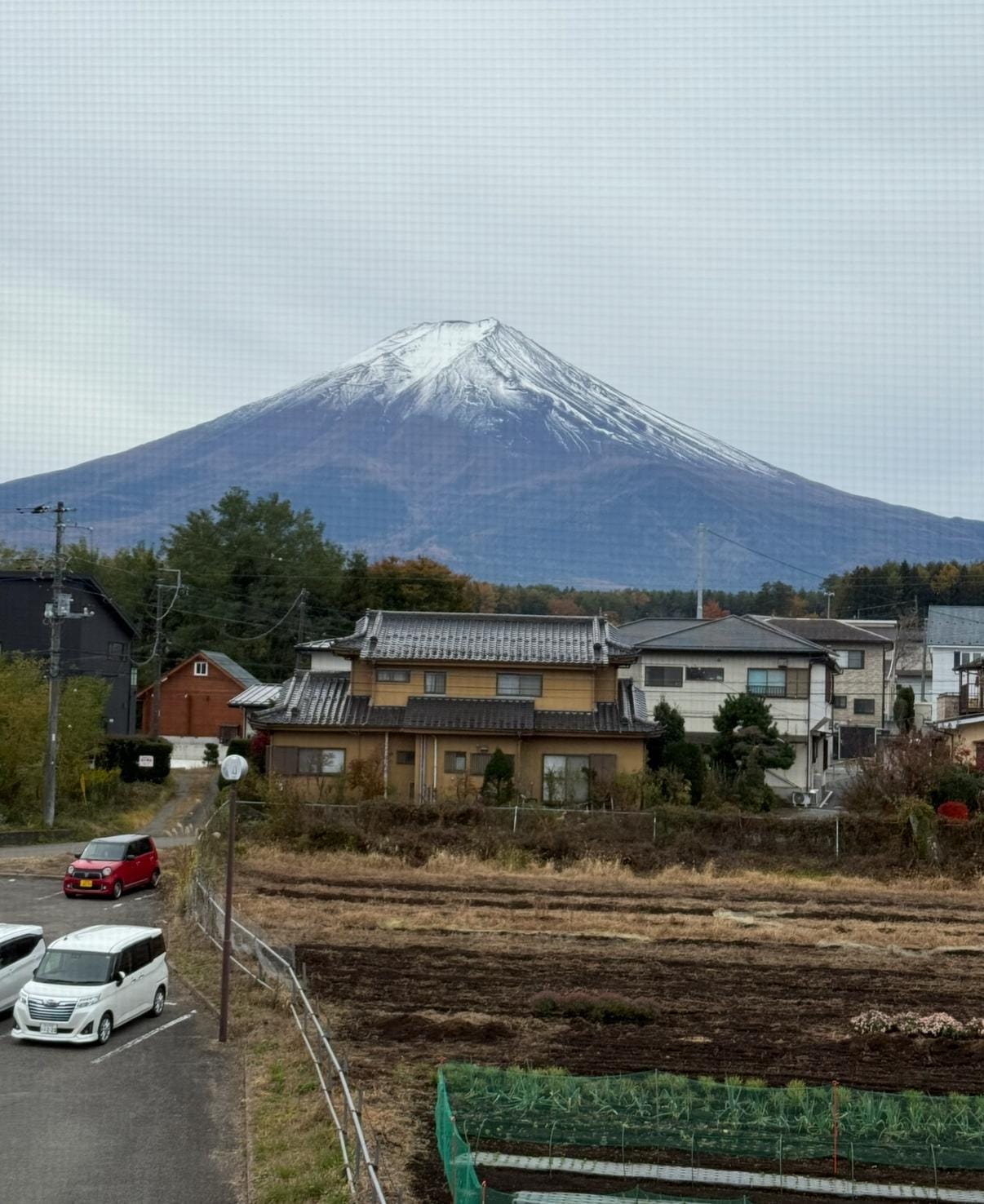 Beautiful Mt Fuji view from room