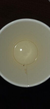 Roach in my cup