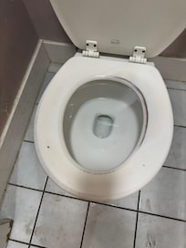 Toilet not appealing use
