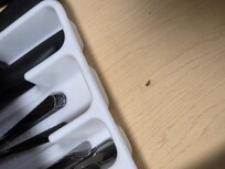 Roach in the drawer with utensils