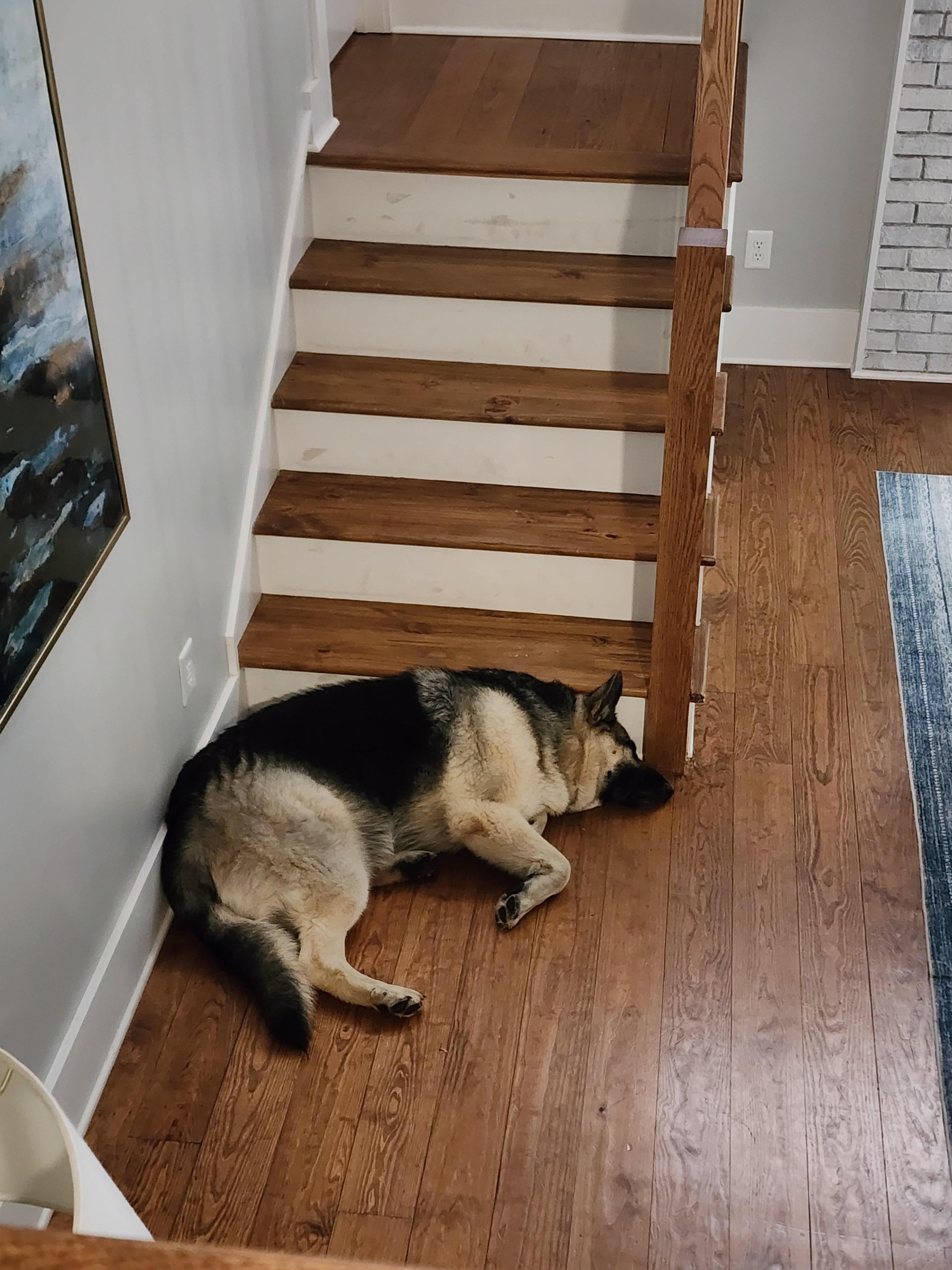 Naptime