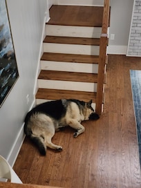 Naptime