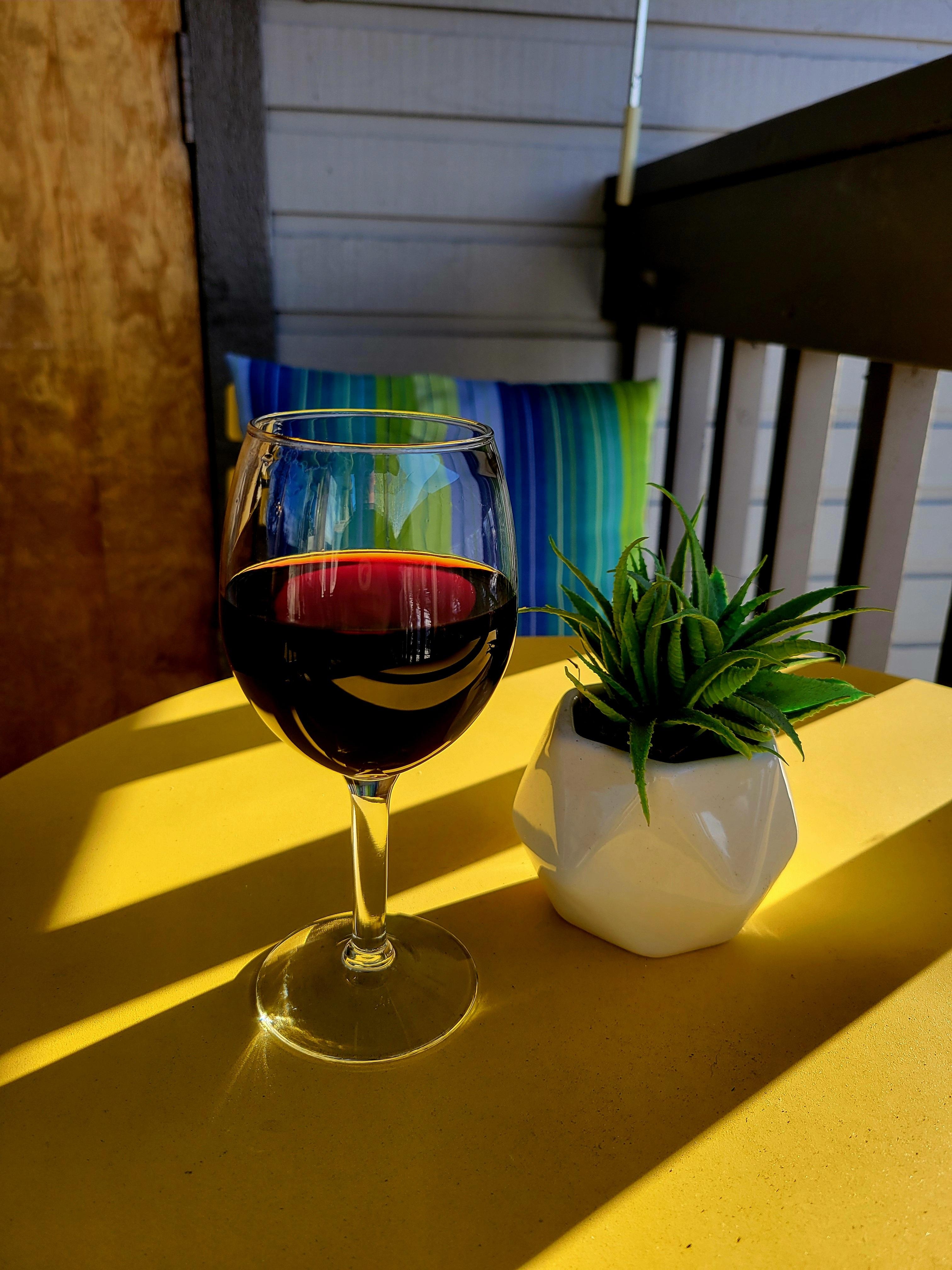 A nice glass of wine on the balcony with a scenic lake view.