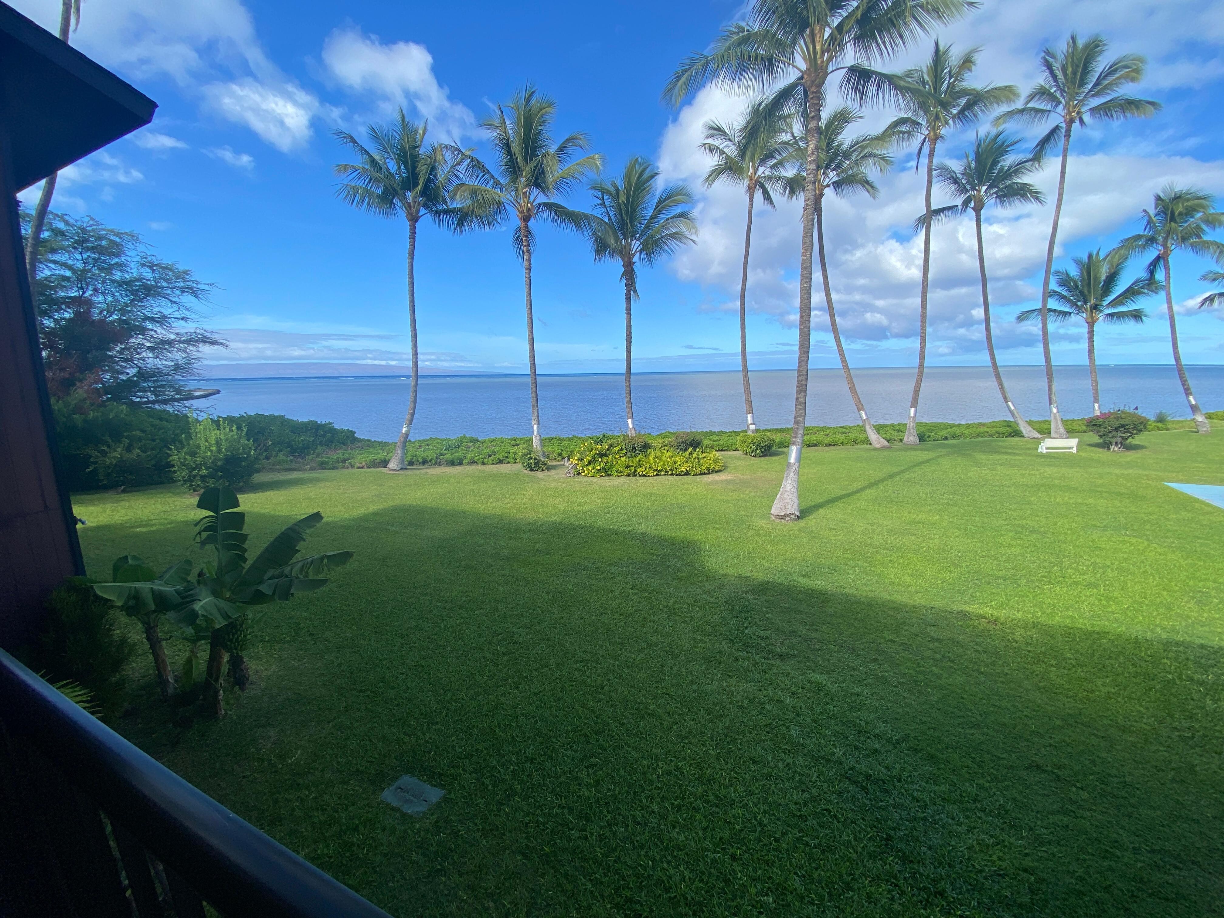 A lovely view