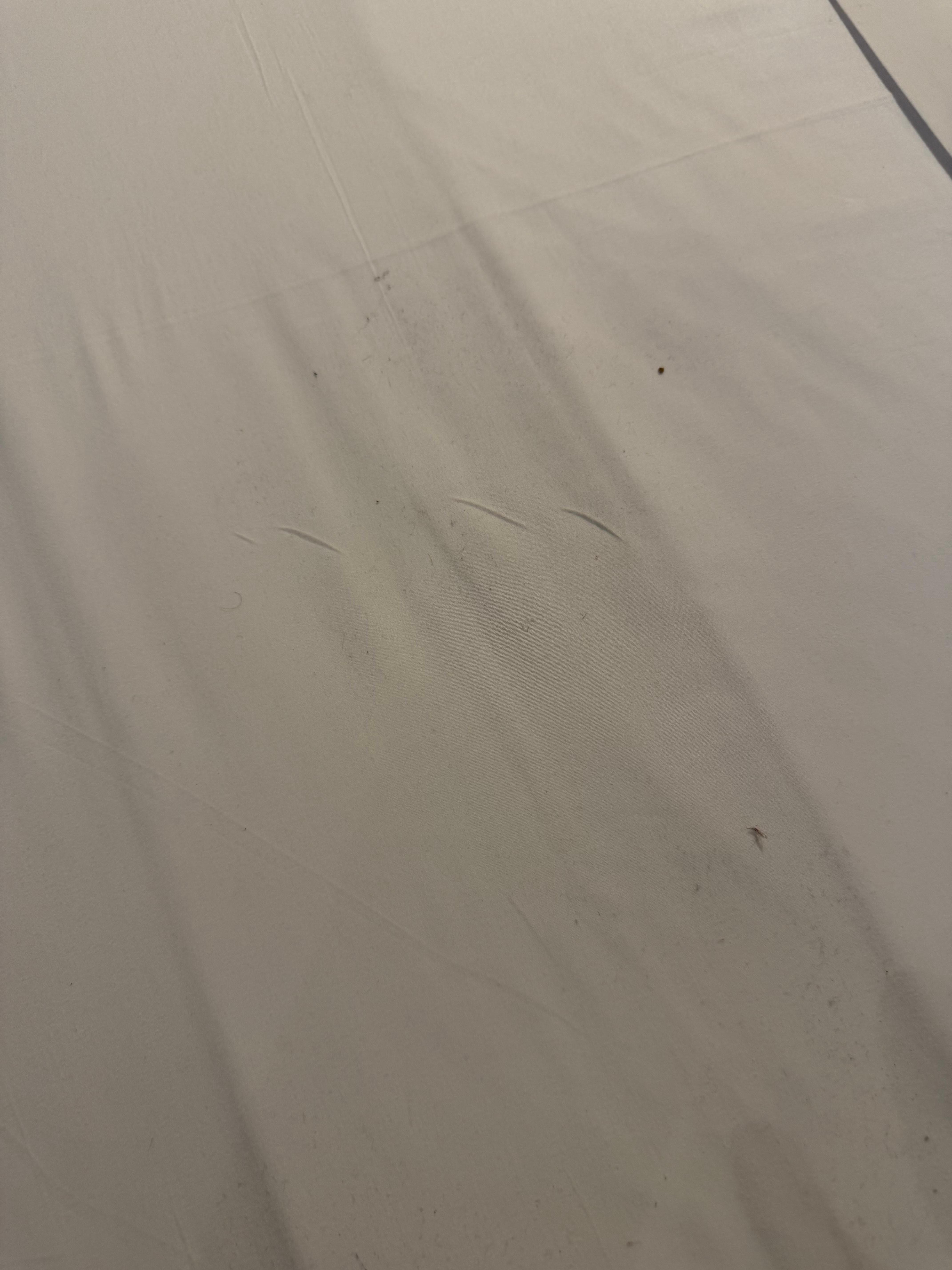 Dusty sheets 