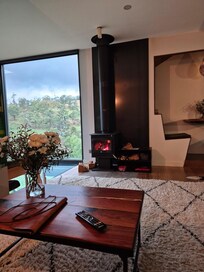 Venice fireplace view