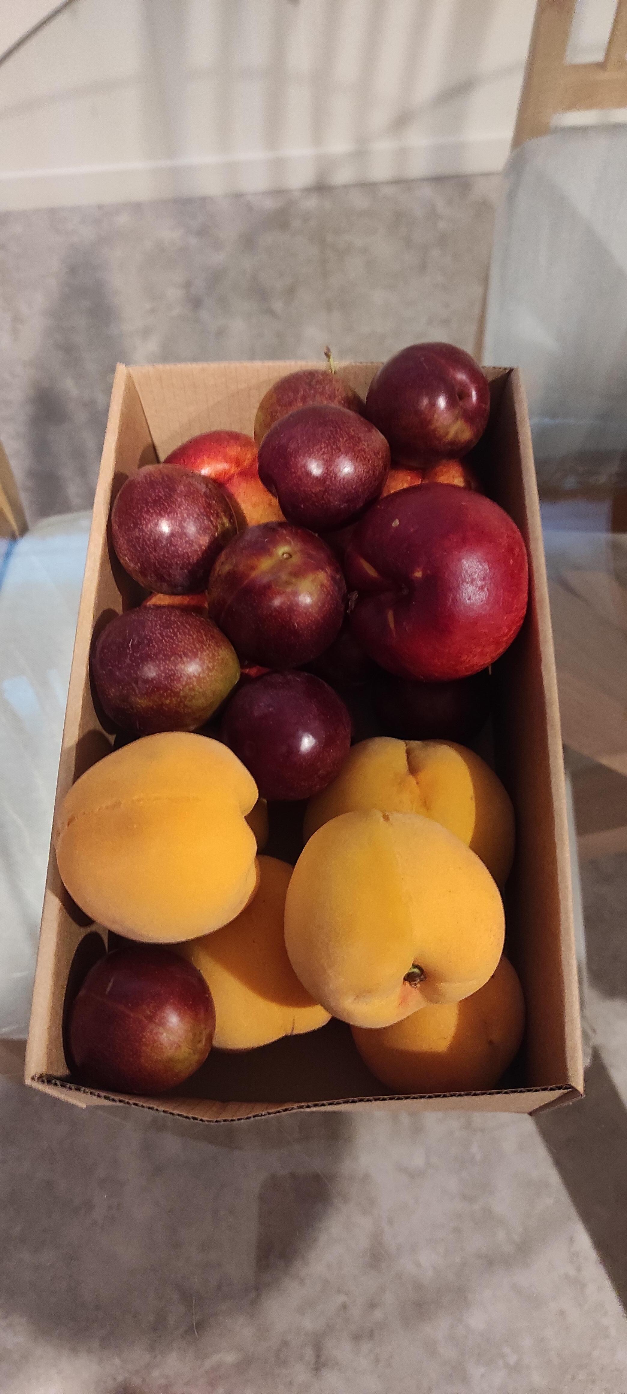 Fruit gifted upon arrival