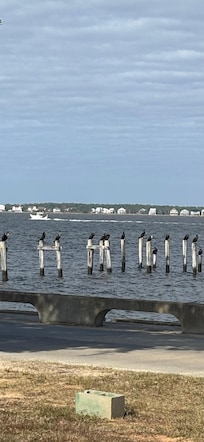 Birds on the pier post