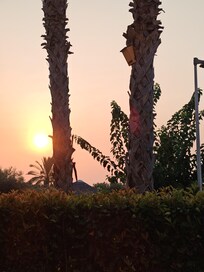 La vue le soir de la terrasse avec ses magnifiques coucher de soleil